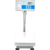 AE Adam Bodenwaage mit Hochanzeige und Einbaudrucker für Etiketten oder Barcodes 120 kg / Lesbarkeit 5 g