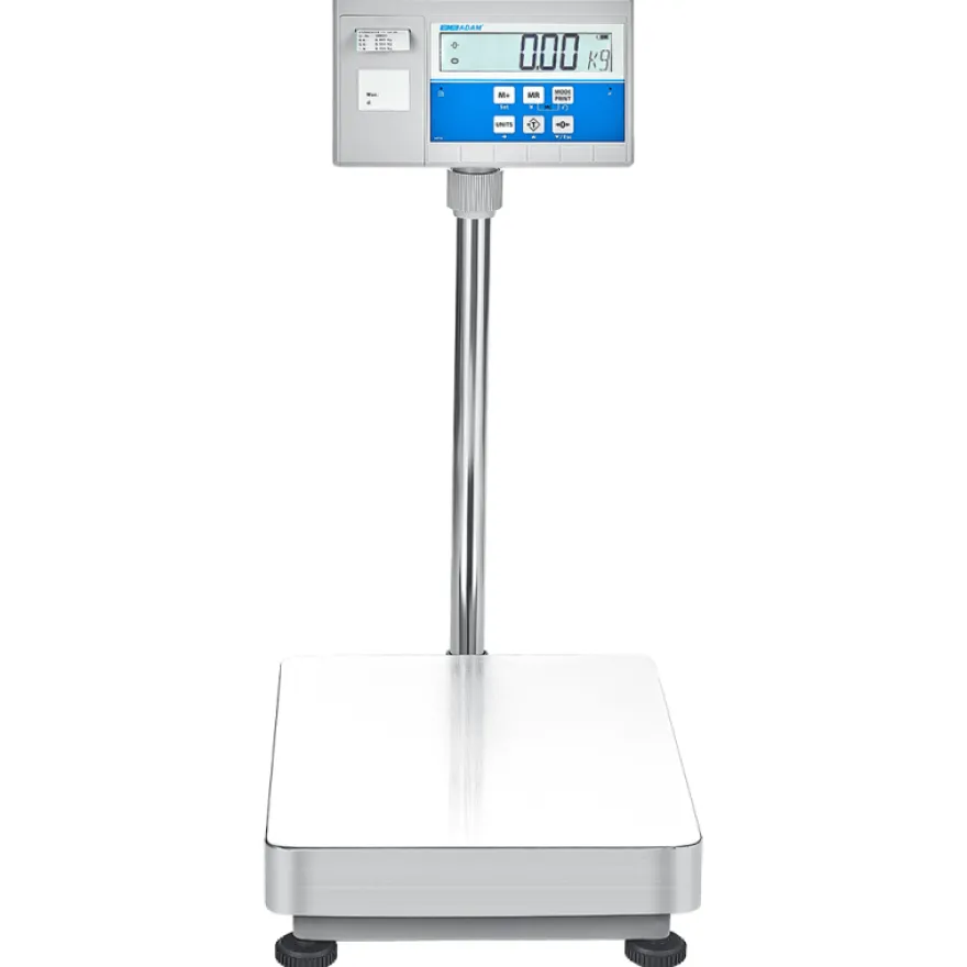 AE Adam Bodenwaage mit Hochanzeige und Einbaudrucker für Etiketten oder Barcodes 300 kg / Lesbarkeit 20 g