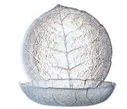 Arcoroc Puddingteller Arcoroc Aspen aus Glas, 14,5cm