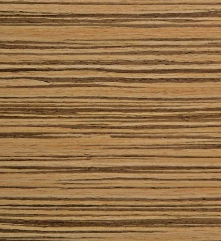 Bolero Esszimmerstühle Buchenfurnier Zebrano - 4 Stück