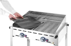 Gasgrill Green Fire PROFI LINE - 2 Brenner