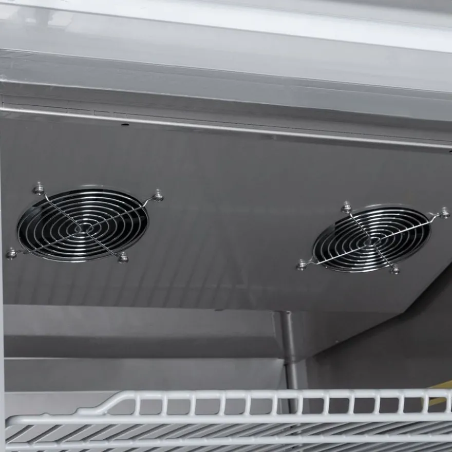Kühlschrank Avantis 700 GN 2/1