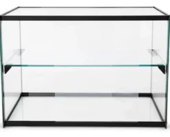 Kuchenvitrine aus gehärtetem Glas - 555 x 390 x 375 mm