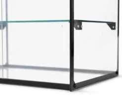 Kuchenvitrine aus gehärtetem Glas - 555 x 390 x 375 mm
