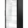 Lagerkühlschrank ECO 600 mit Glastür, Innenraum aus Kunststoff, schwarz