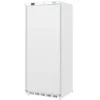 Lagertiefkühlschrank Polar 600L