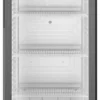 Liebherr Glastürkühlschrank MRFvg 4011 Perfection schwarz