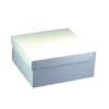 Papstar 10 Tortenkartons, mit Deckel, Pappe eckig 30 cm x 30 cm x 13 cm weiss