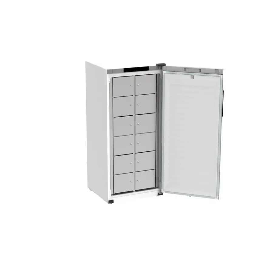 Rieber Gemeinschaftskühlschrank multipolar® 481 - 12 Fächer - Tür rechts