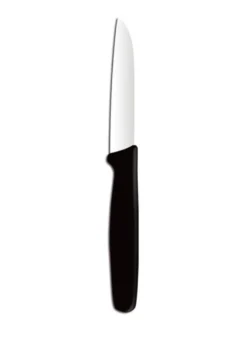 Schälmesser, gerade Klinge 75 mm miz PP Griff