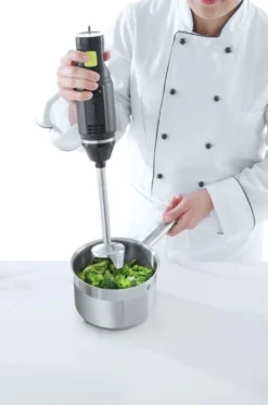 Stabmixer Concept Line