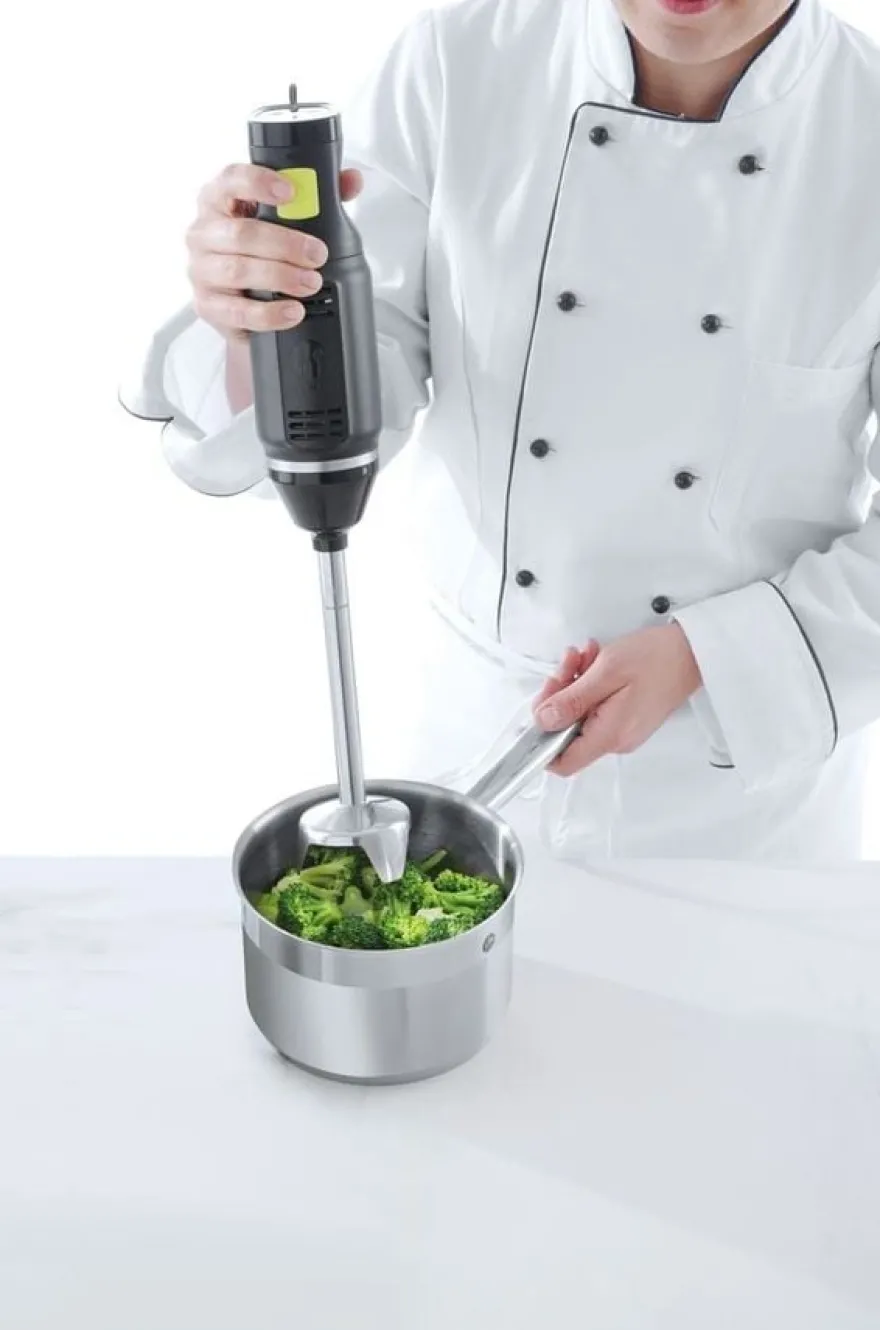 Stabmixer Concept Line