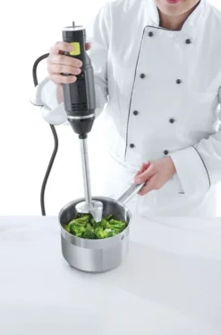 Stabmixer Concept Line
