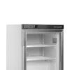 Tefcold Displaygefrierschrank UF200G
