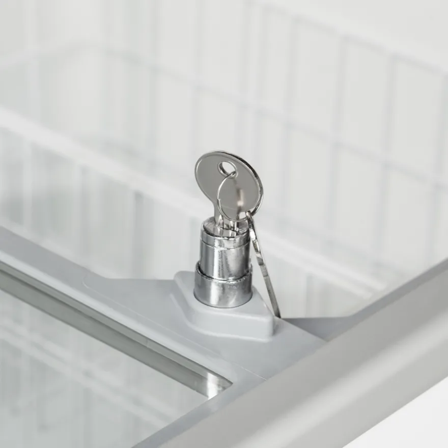 Tefcold Eiscreme-Gefriertruhe IC202SC
