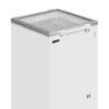 Tefcold Eiscrem-Gefriertruhe ST160