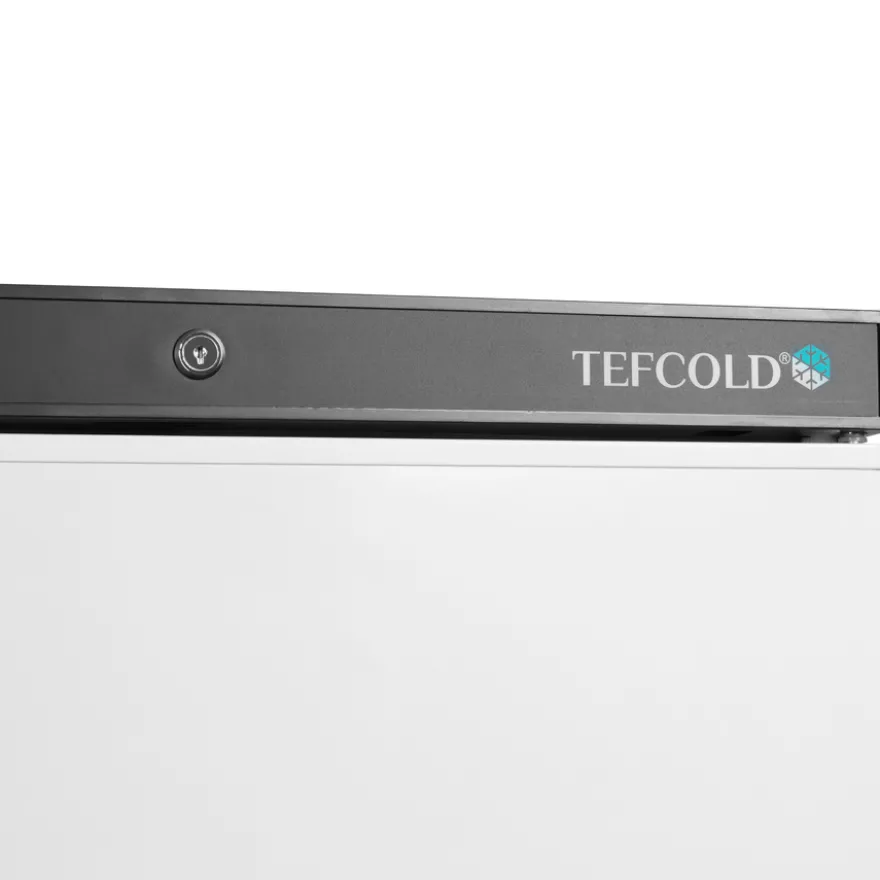 Tefcold Lagergefrierschrank UF400