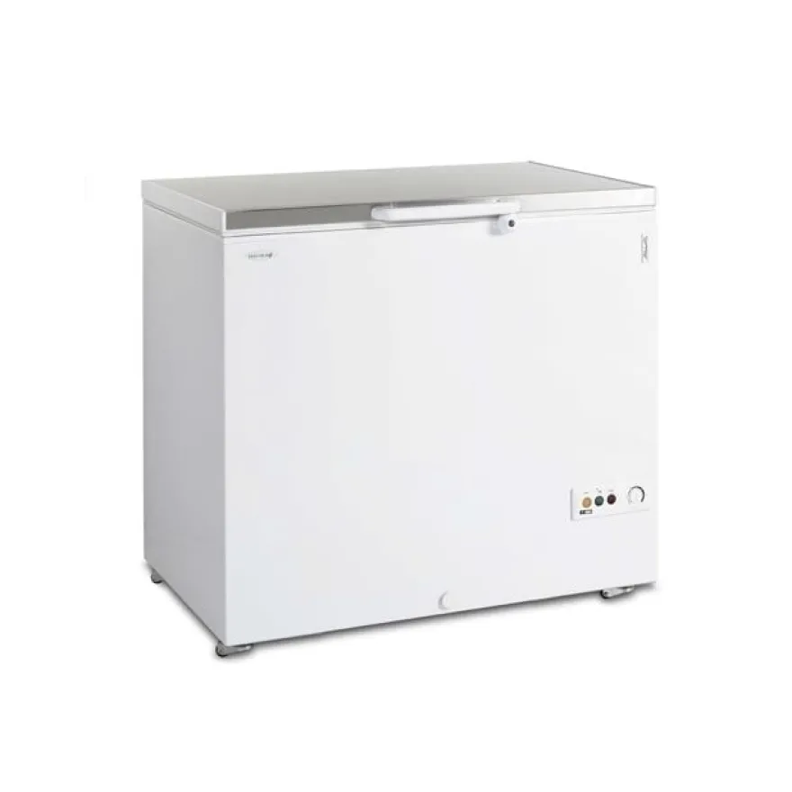 Tefcold Tiefkühltruhe FR 305 S
