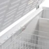 Tefcold Tiefkühltruhe FR 605 S