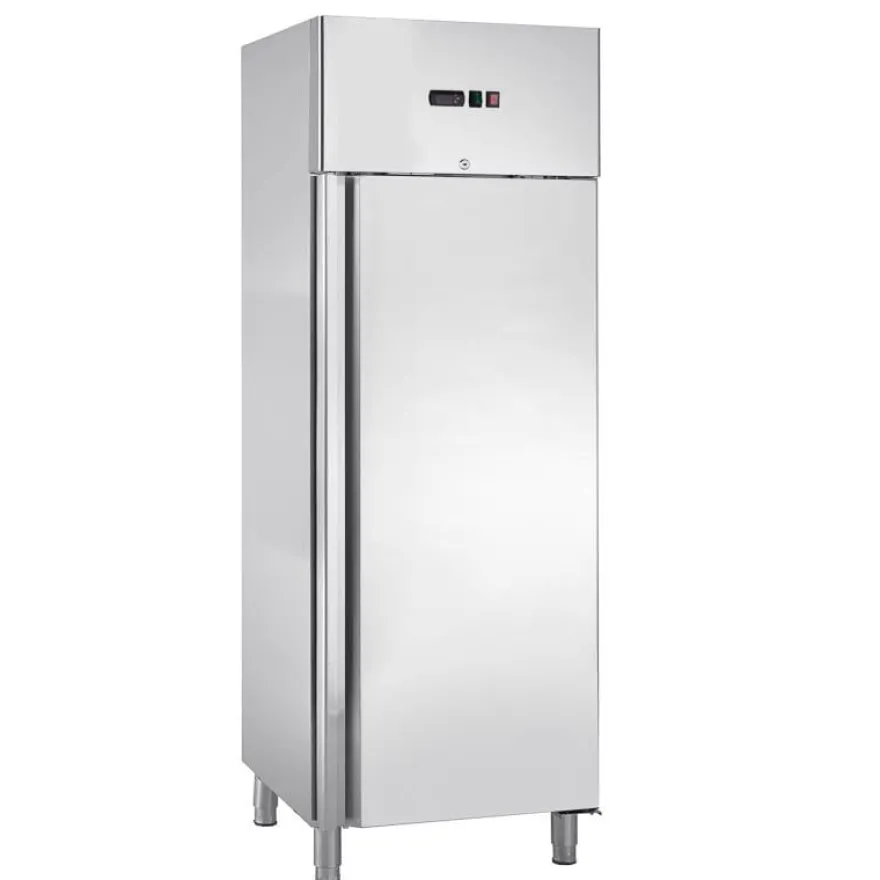 Tiefkühlschrank ECO 400 GN 1/1