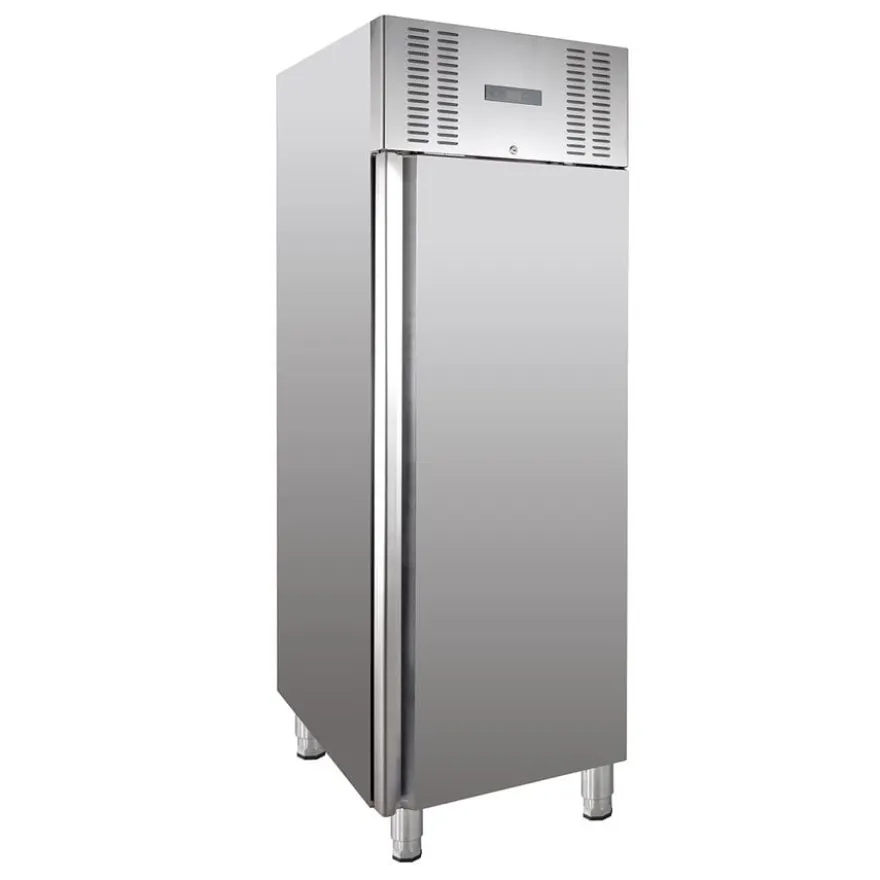 Tiefkühlschrank ELINE 650 GN 2/1 Monoblock - hohe Energieeffizienz