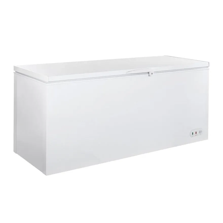 Tiefkühltruhe ECO 550 mit Klappdeckel