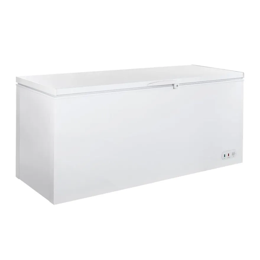 Tiefkühltruhe ECO 650 mit Klappdeckel