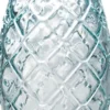 VR San Miguel Ananas Tumbler 70 cl